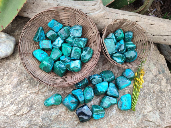 Polished Malacolla Free Forms x 70 From Kalukundi Mine, Congo