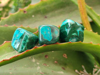 Polished Malacolla Free Forms x 70 From Kalukundi Mine, Congo