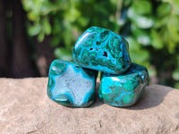 Polished Malacolla Free Forms x 70 From Kalukundi Mine, Congo