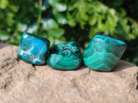 Polished Malacolla Free Forms x 70 From Kalukundi Mine, Congo