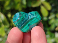 Polished Malacolla Free Forms x 70 From Kalukundi Mine, Congo
