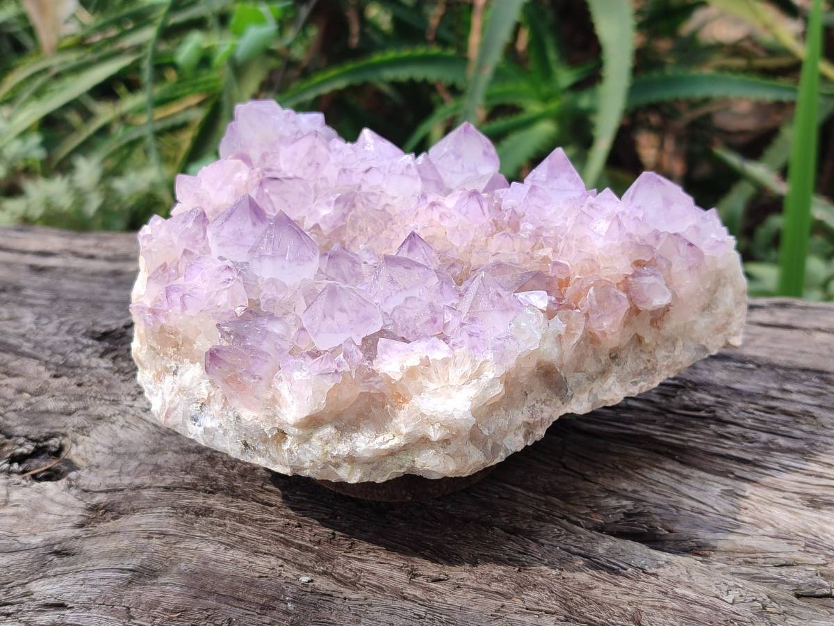 Natural Amethyst Spirit Quartz Clusters x 1 From Boekenhouthoek, South Africa - Toprock Gemstones and Minerals 