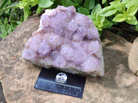 Natural Amethyst Spirit Quartz Clusters x 1 From Boekenhouthoek, South Africa