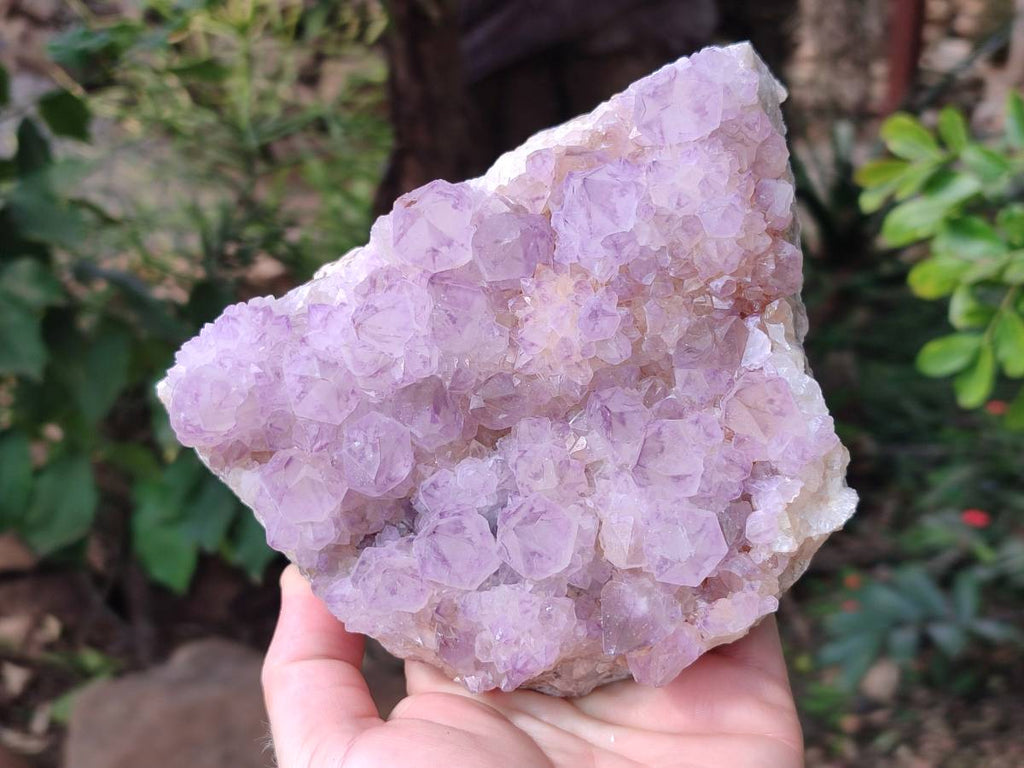 Natural Amethyst Spirit Quartz Clusters x 1 From Boekenhouthoek, South Africa - Toprock Gemstones and Minerals 