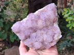 Natural Amethyst Spirit Quartz Clusters x 1 From Boekenhouthoek, South Africa - Toprock Gemstones and Minerals 