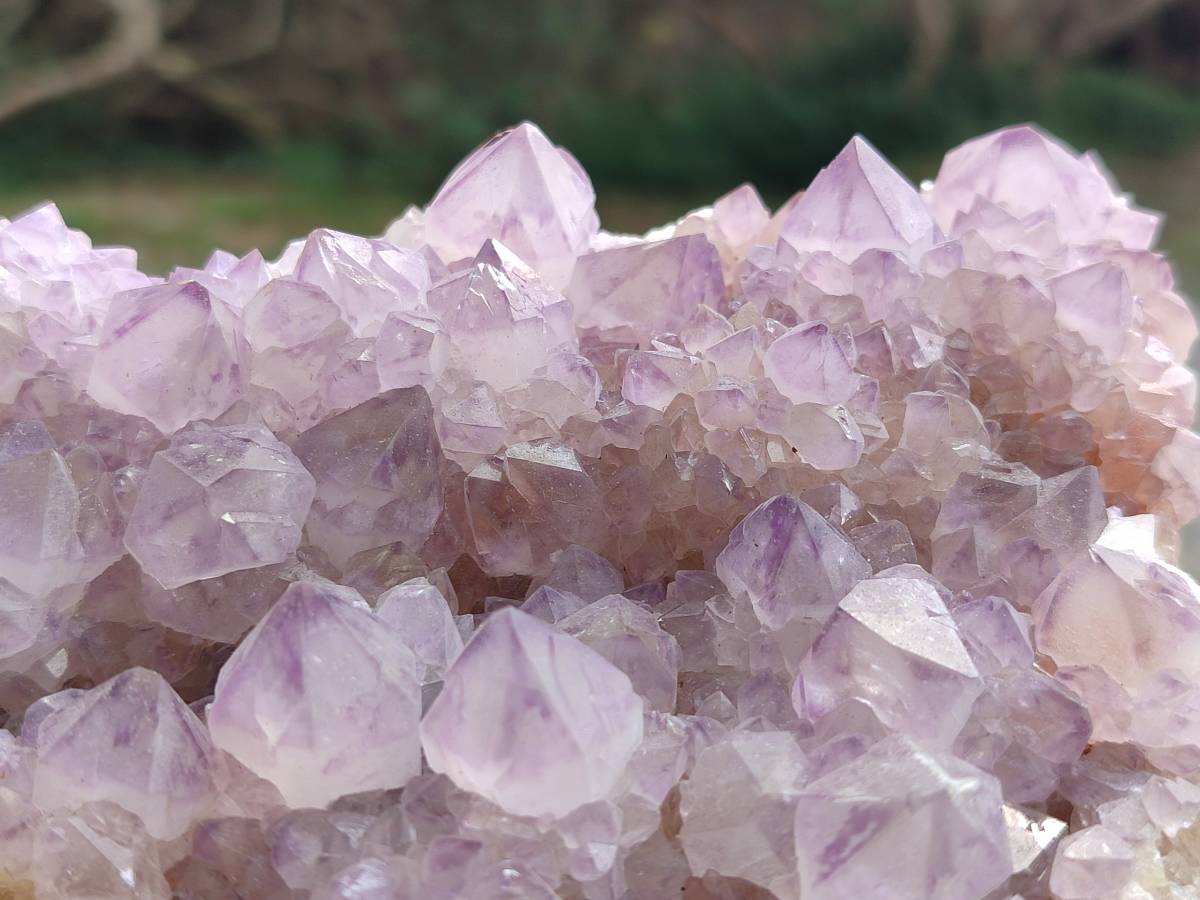 Natural Amethyst Spirit Quartz Clusters x 1 From Boekenhouthoek, South Africa - Toprock Gemstones and Minerals 