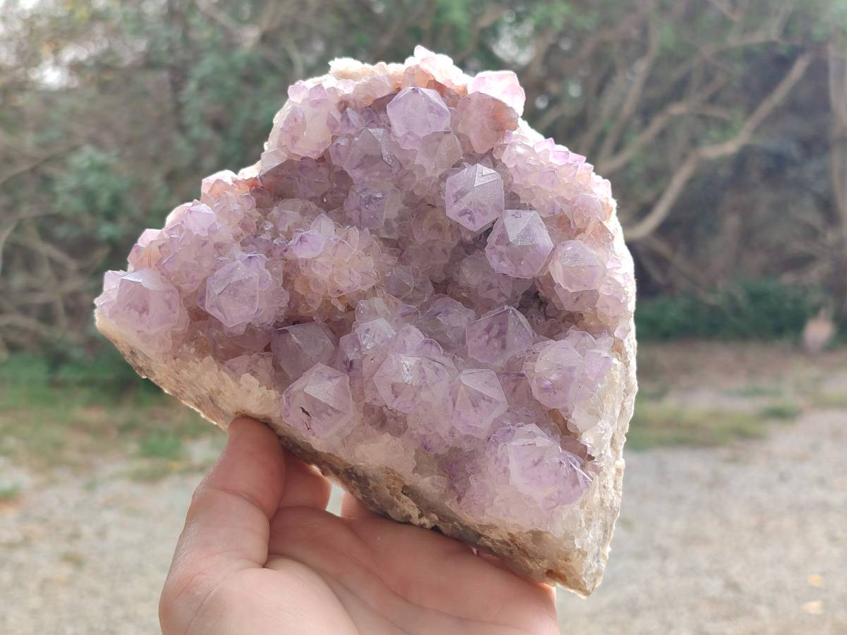 Natural Amethyst Spirit Quartz Clusters x 1 From Boekenhouthoek, South Africa - Toprock Gemstones and Minerals 