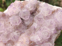 Natural Amethyst Spirit Quartz Clusters x 1 From Boekenhouthoek, South Africa