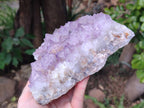 Natural Amethyst Spirit Quartz Clusters x 1 From Boekenhouthoek, South Africa - Toprock Gemstones and Minerals 