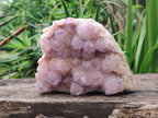 Natural Amethyst Spirit Quartz Clusters x 1 From Boekenhouthoek, South Africa - Toprock Gemstones and Minerals 
