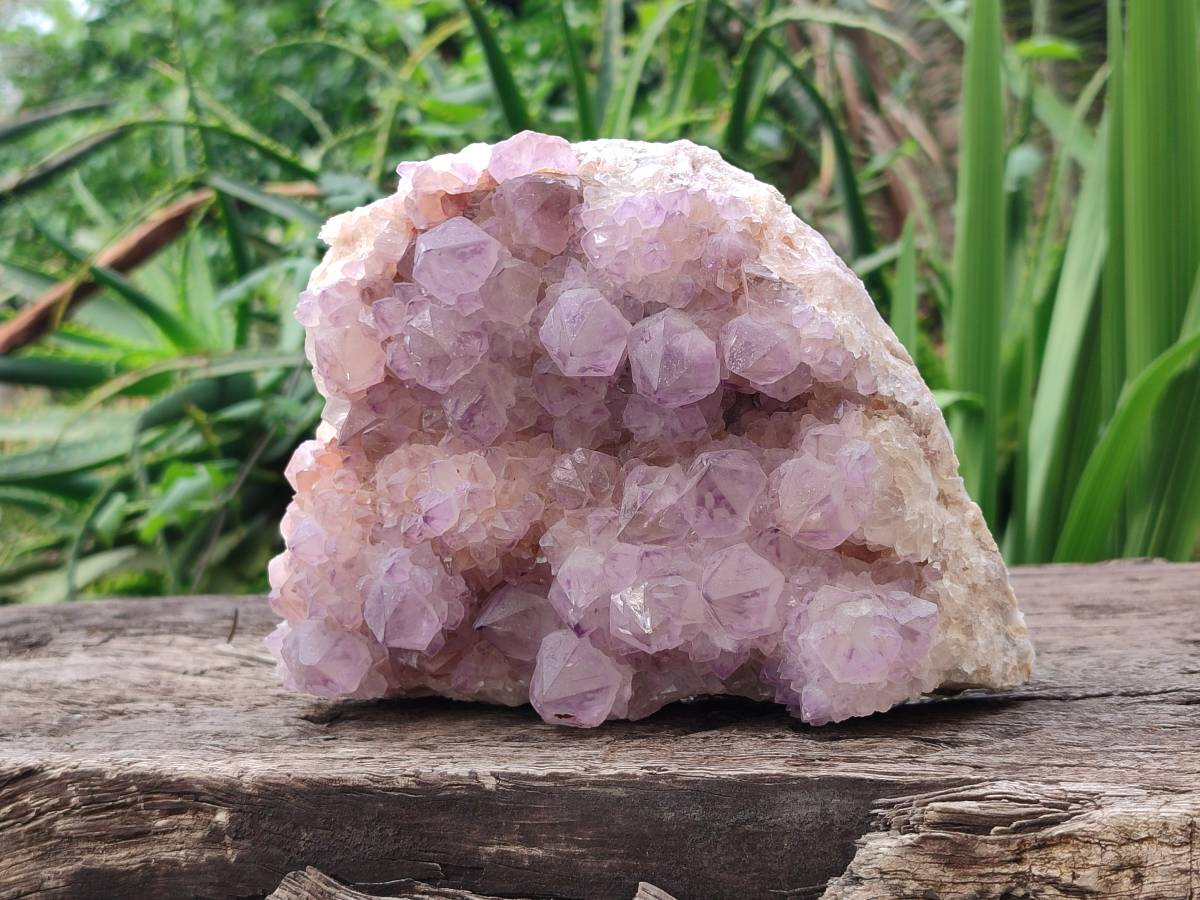 Natural Amethyst Spirit Quartz Clusters x 1 From Boekenhouthoek, South Africa - Toprock Gemstones and Minerals 
