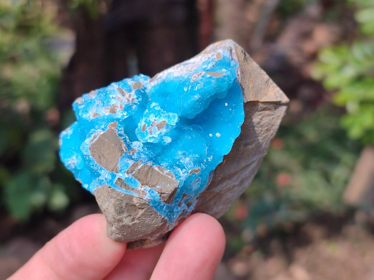 Natural Hemimorphite on Dolomite Specimens x 6 From Lupoto Mine, Congo - Toprock Gemstones and Minerals 