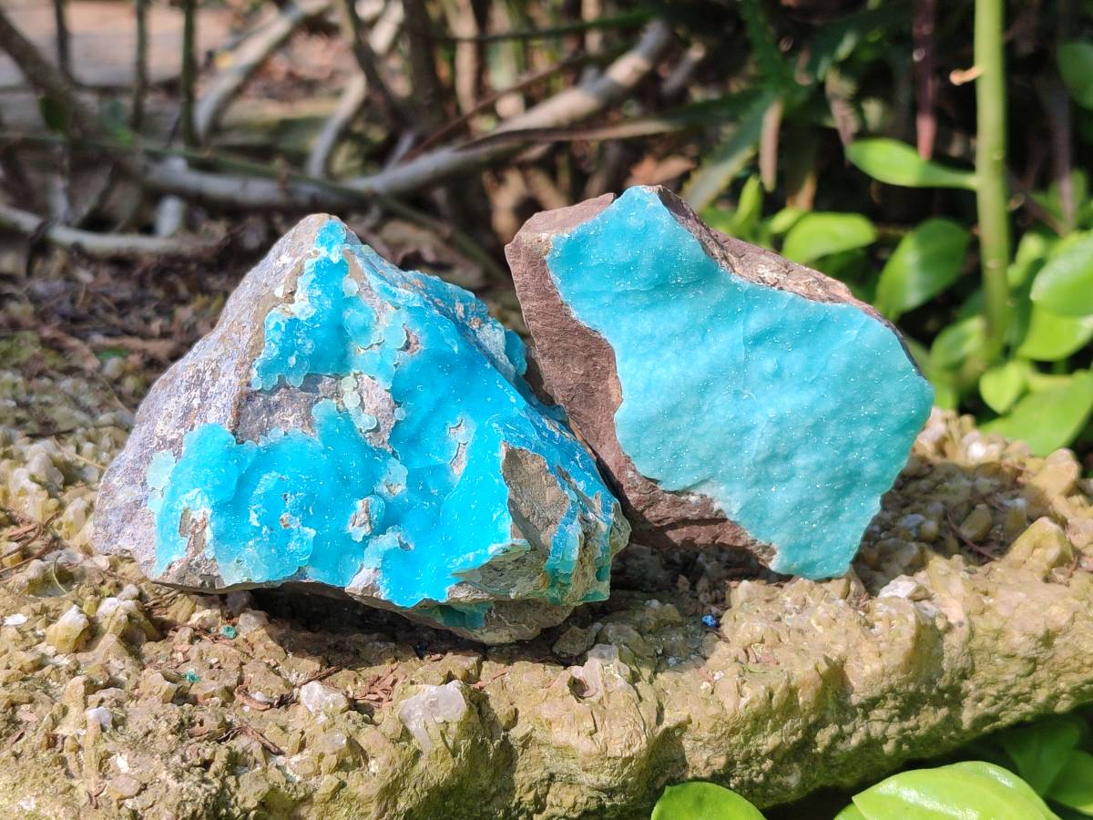 Natural Hemimorphite on Dolomite Specimens x 6 From Lupoto Mine, Congo - Toprock Gemstones and Minerals 