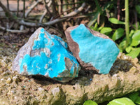 Natural Hemimorphite on Dolomite Specimens x 6 From Lupoto Mine, Congo