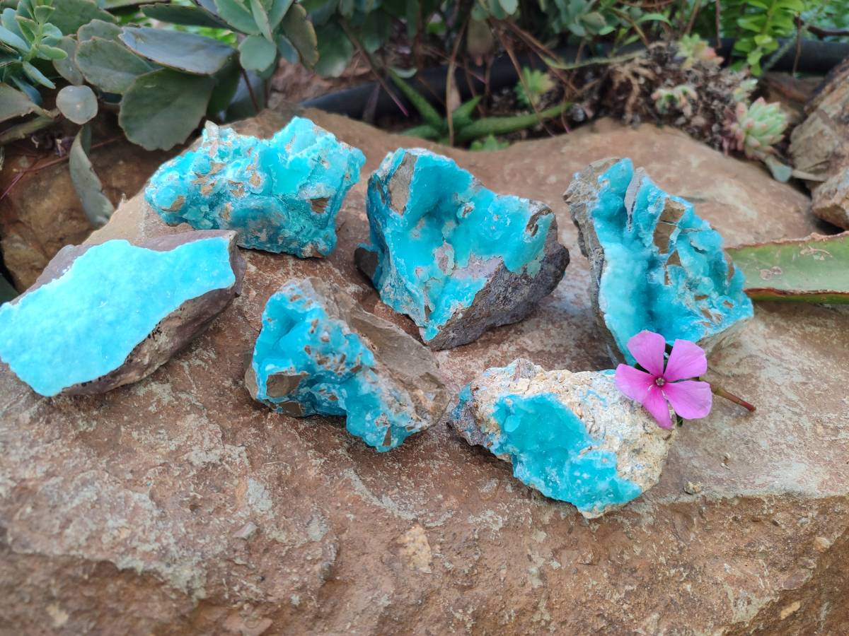 Natural Hemimorphite on Dolomite Specimens x 6 From Lupoto Mine, Congo - Toprock Gemstones and Minerals 
