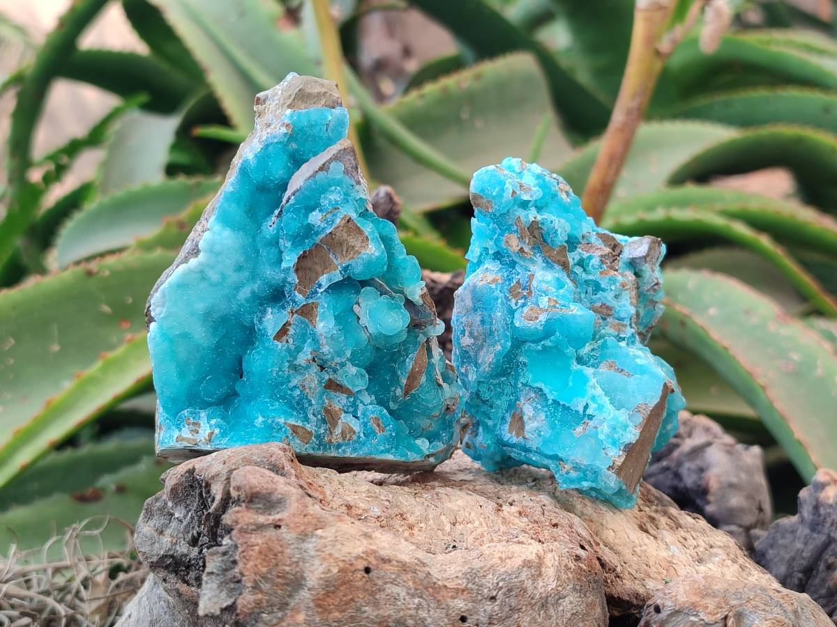 Natural Hemimorphite on Dolomite Specimens x 6 From Lupoto Mine, Congo - Toprock Gemstones and Minerals 