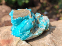 Natural Hemimorphite on Dolomite Specimens x 6 From Lupoto Mine, Congo