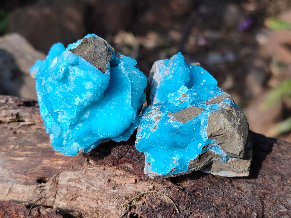 Natural Hemimorphite on Dolomite Specimens x 6 From Lupoto Mine, Congo - Toprock Gemstones and Minerals 