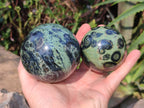 Polished Stromatolite Spheres x 4 From Katsepy, Madagascar - Toprock Gemstones and Minerals 