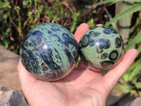 Polished Stromatolite Spheres x 4 From Katsepy, Madagascar