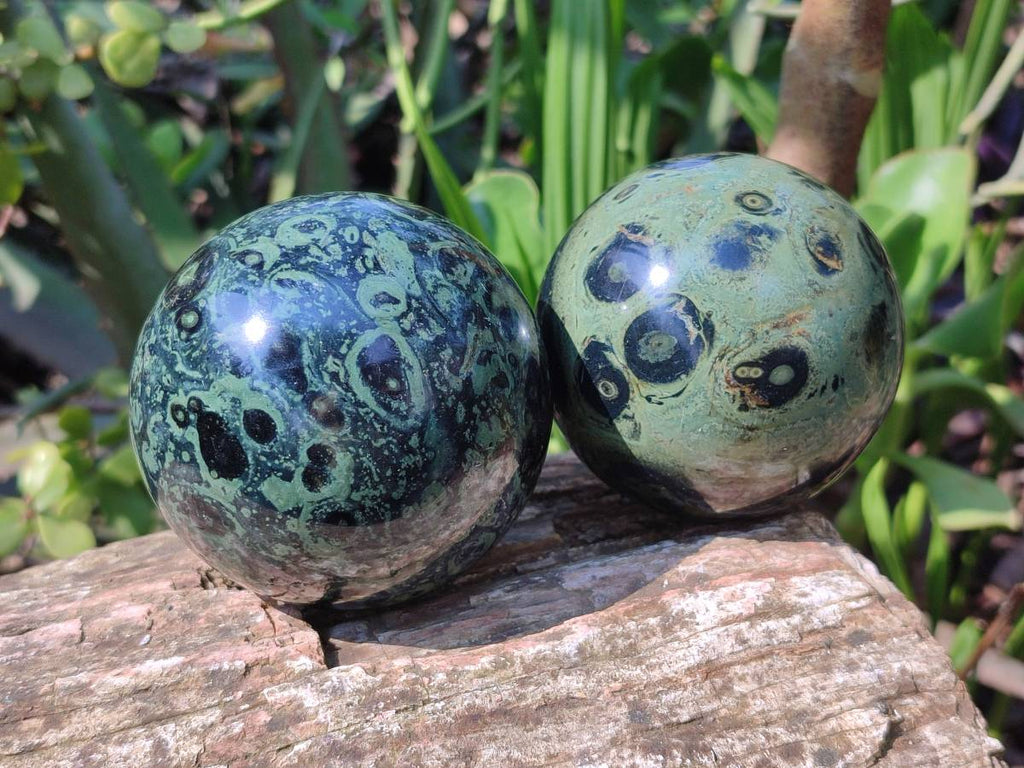 Polished Stromatolite Spheres x 4 From Katsepy, Madagascar - Toprock Gemstones and Minerals 