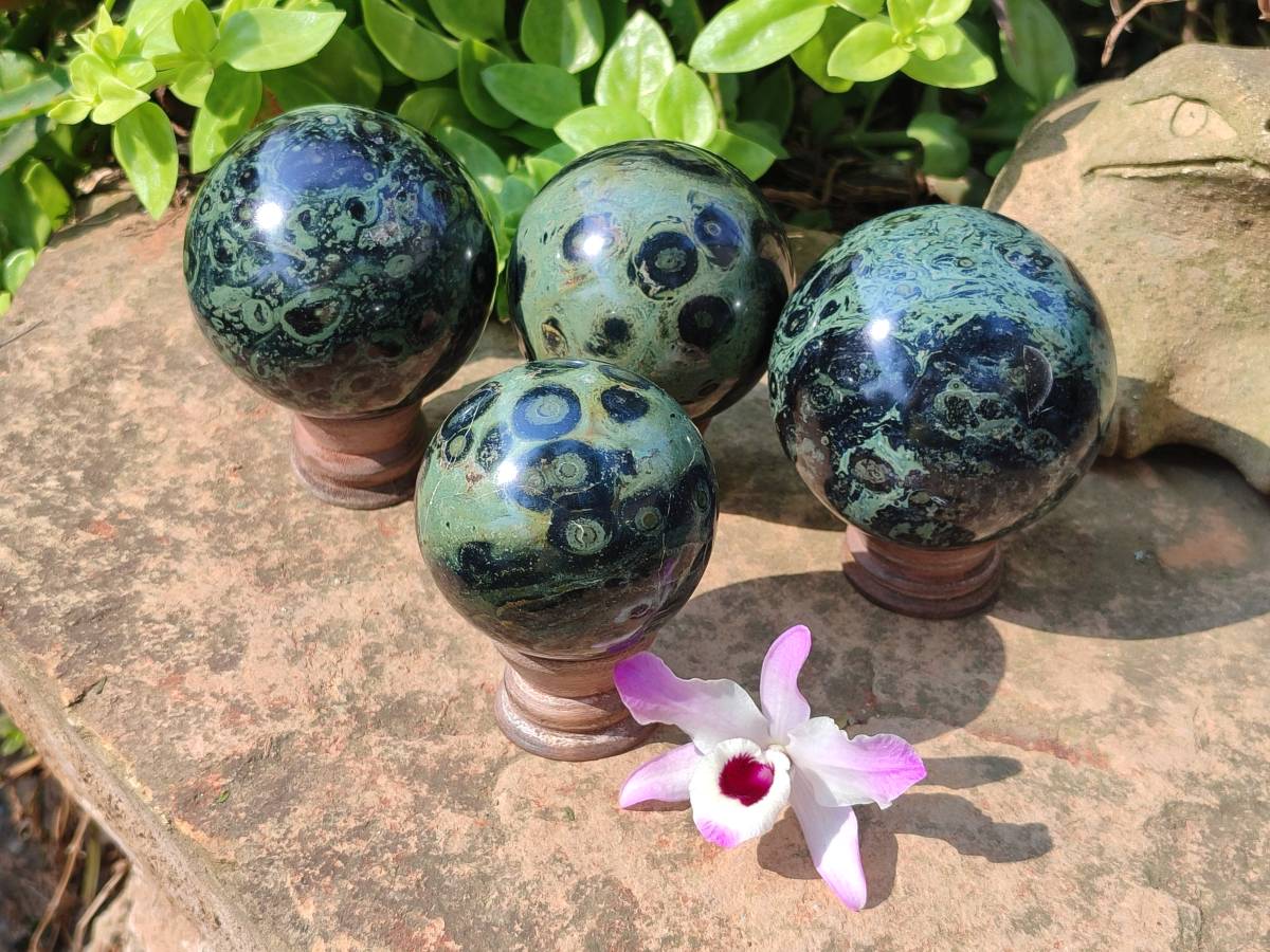 Polished Stromatolite Spheres x 4 From Katsepy, Madagascar - Toprock Gemstones and Minerals 
