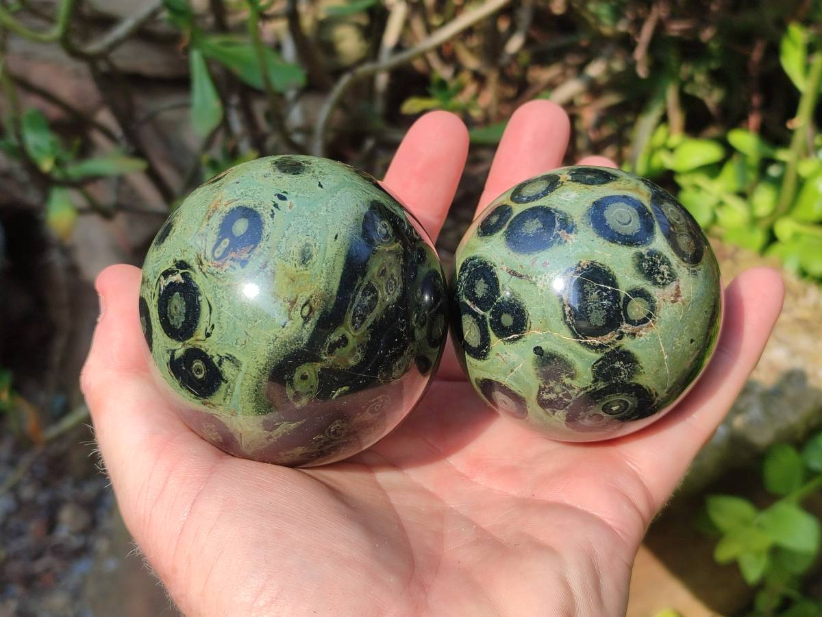 Polished Stromatolite Spheres x 4 From Katsepy, Madagascar - Toprock Gemstones and Minerals 