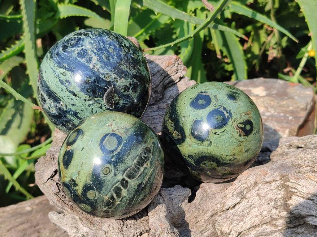 Polished Stromatolite Spheres x 4 From Katsepy, Madagascar - Toprock Gemstones and Minerals 