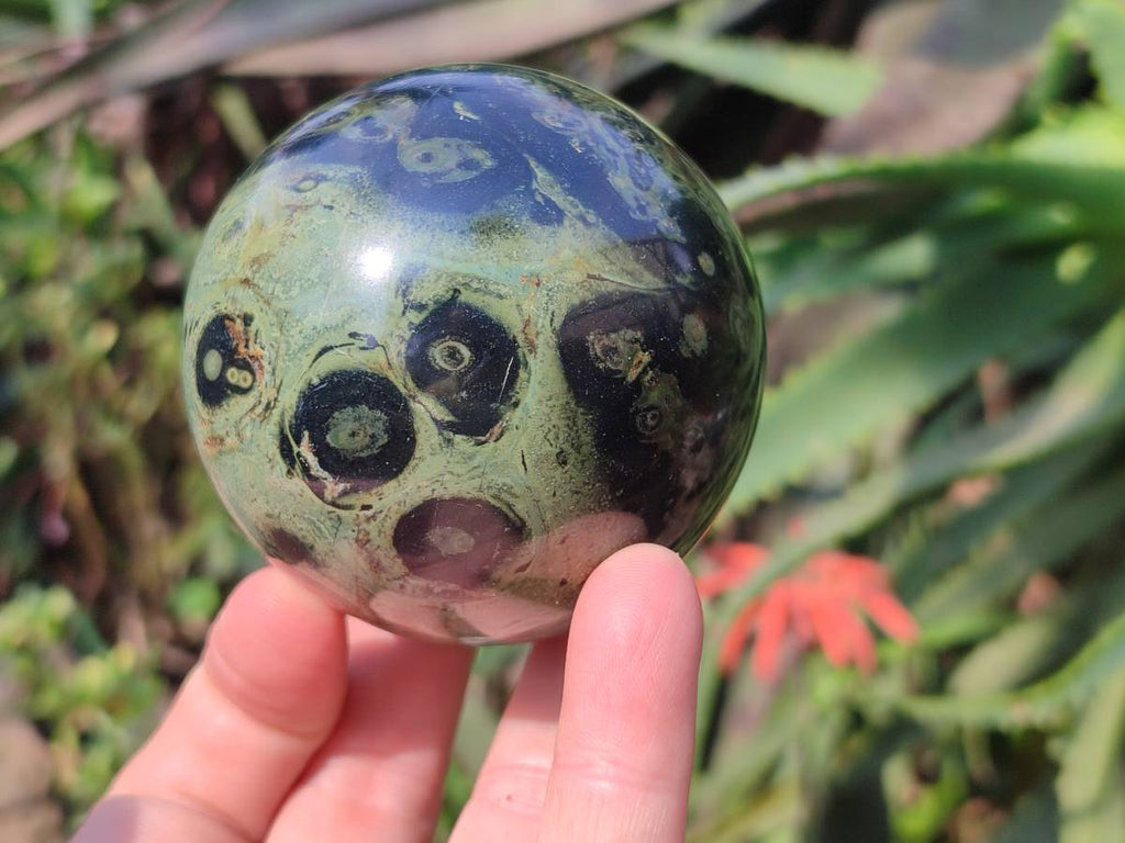 Polished Stromatolite Spheres x 4 From Katsepy, Madagascar - Toprock Gemstones and Minerals 