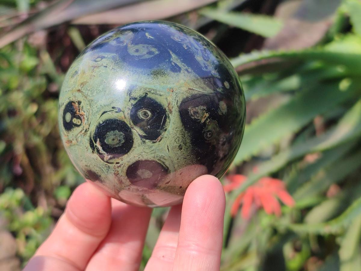 Polished Stromatolite Spheres x 4 From Katsepy, Madagascar - Toprock Gemstones and Minerals 
