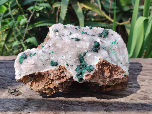 Natural Ball Malachite and Drusy Quartz On Dolomite Matrix Specimens x 1 From Kambove, Congo