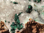 Natural Ball Malachite and Drusy Quartz On Dolomite Matrix Specimens x 1 From Kambove, Congo - Toprock Gemstones and Minerals 