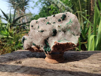 Natural Ball Malachite and Drusy Quartz On Dolomite Matrix Specimens x 1 From Kambove, Congo
