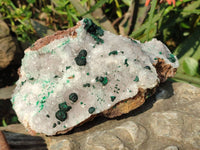 Natural Ball Malachite and Drusy Quartz On Dolomite Matrix Specimens x 1 From Kambove, Congo