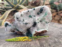 Natural Ball Malachite and Drusy Quartz On Dolomite Matrix Specimens x 1 From Kambove, Congo