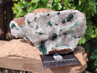 Natural Ball Malachite and Drusy Quartz On Dolomite Matrix Specimens x 1 From Kambove, Congo