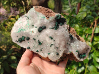 Natural Ball Malachite and Drusy Quartz On Dolomite Matrix Specimens x 1 From Kambove, Congo