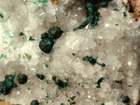 Natural Ball Malachite and Drusy Quartz On Dolomite Matrix Specimens x 1 From Kambove, Congo