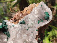 Natural Ball Malachite and Drusy Quartz On Dolomite Matrix Specimens x 1 From Kambove, Congo