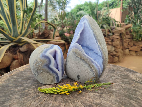 Polished Blue Lace Agate Standing Free Forms x 2 From Nsanje, Malawi