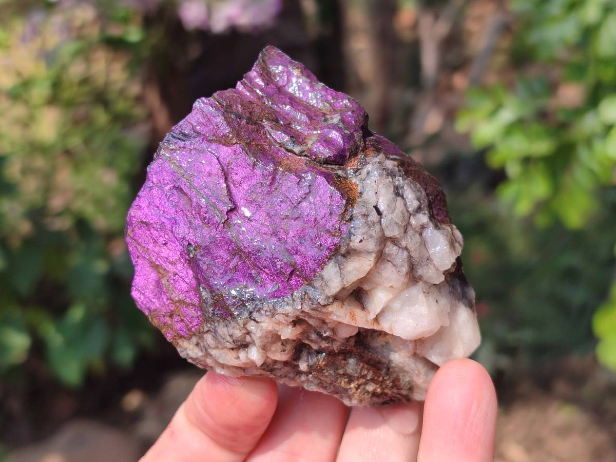 Natural Metallic Purpurite Specimens x 12 From Erongo, Namibia - Toprock Gemstones and Minerals 
