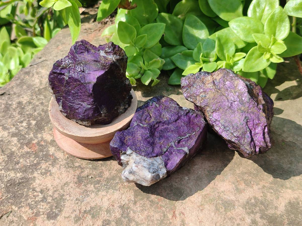Natural Metallic Purpurite Specimens x 12 From Erongo, Namibia - Toprock Gemstones and Minerals 
