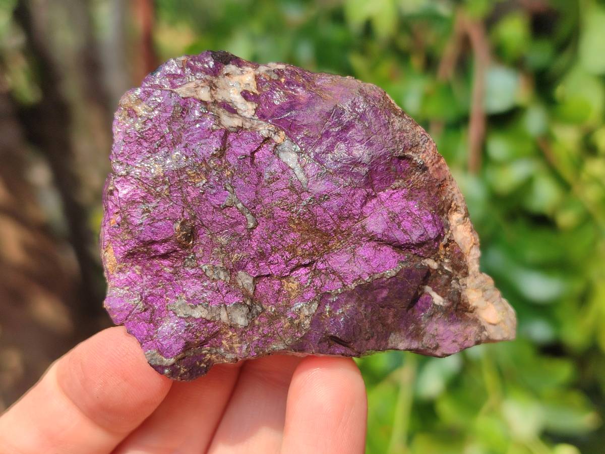 Natural Metallic Purpurite Specimens x 12 From Erongo, Namibia - Toprock Gemstones and Minerals 