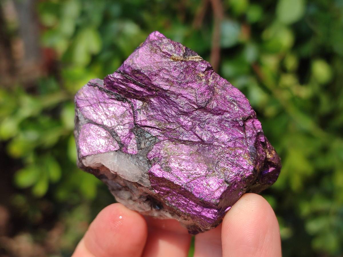 Natural Metallic Purpurite Specimens x 12 From Erongo, Namibia - Toprock Gemstones and Minerals 