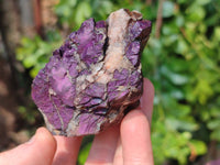 Natural Metallic Purpurite Specimens x 12 From Erongo, Namibia