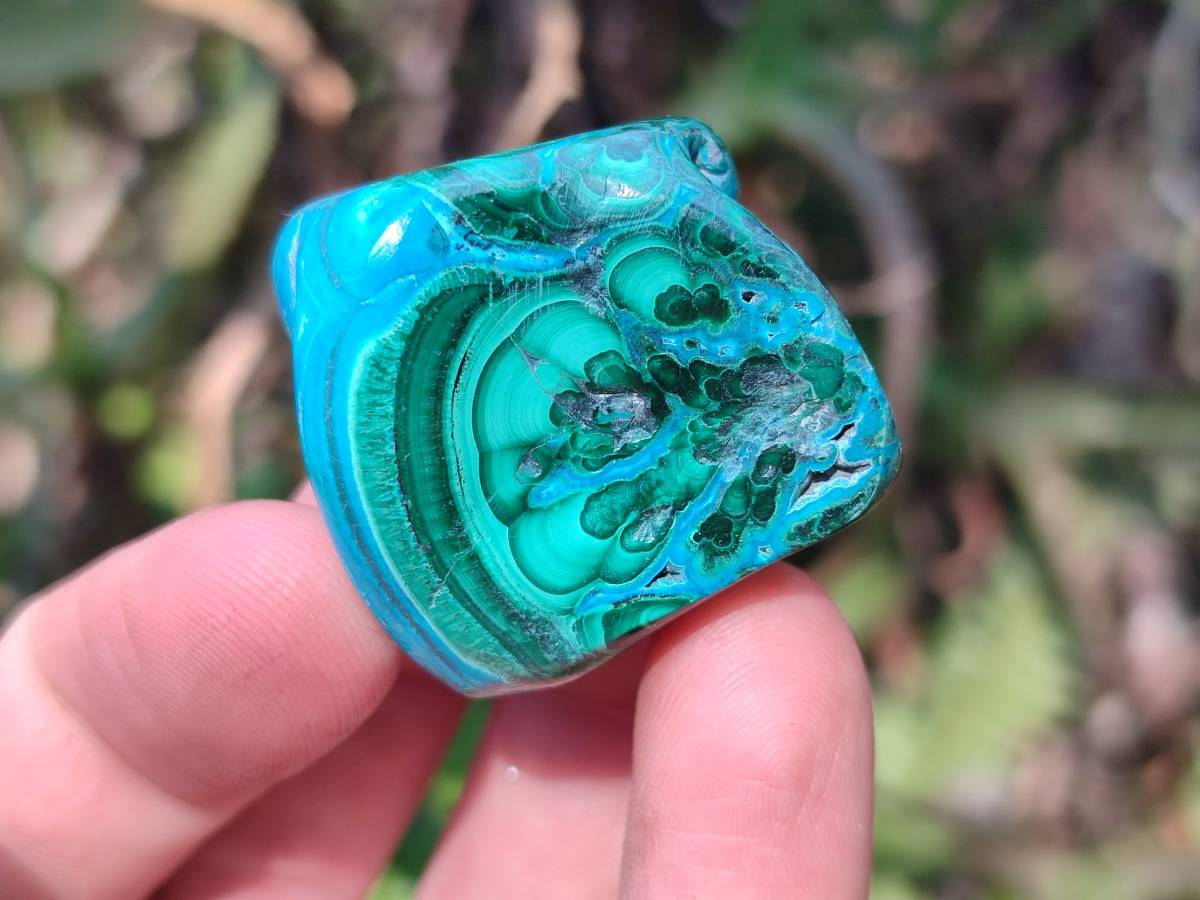 Polished Malacolla Free Forms x 20 From Kalukundi Mine, Congo - Toprock Gemstones and Minerals 