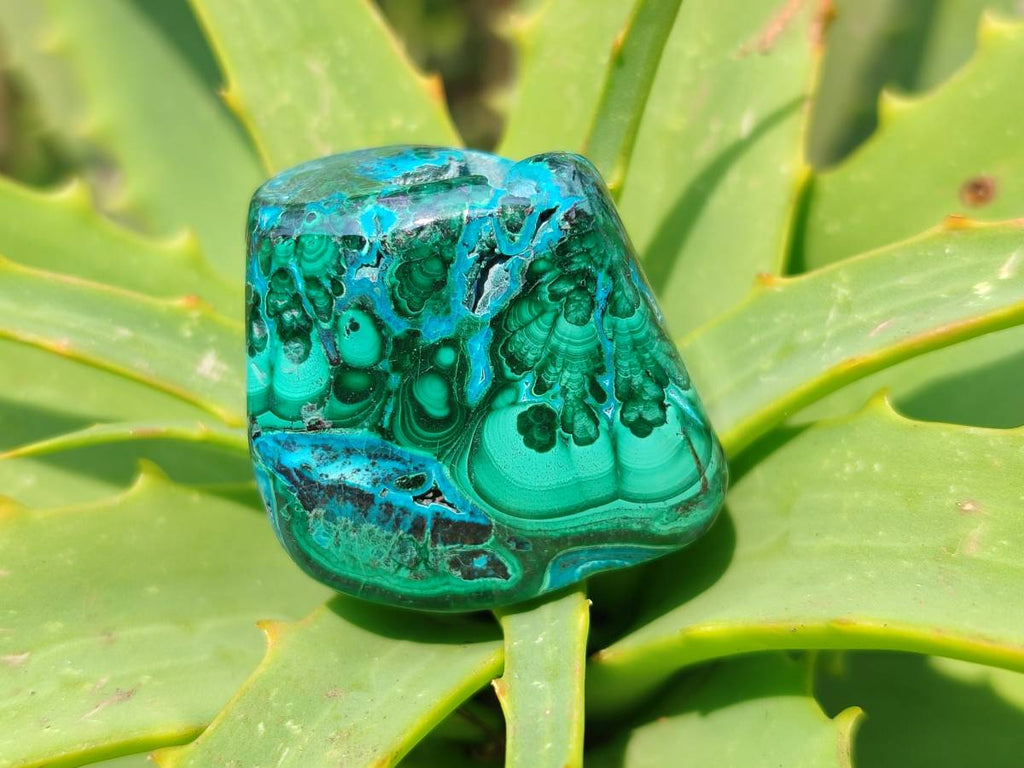 Polished Malacolla Free Forms x 20 From Kalukundi Mine, Congo - Toprock Gemstones and Minerals 