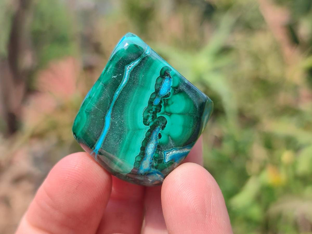 Polished Malacolla Free Forms x 20 From Kalukundi Mine, Congo - Toprock Gemstones and Minerals 