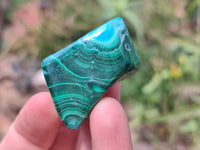 Polished Malacolla Free Forms x 20 From Kalukundi Mine, Congo
