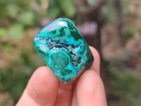 Polished Malacolla Free Forms x 20 From Kalukundi Mine, Congo